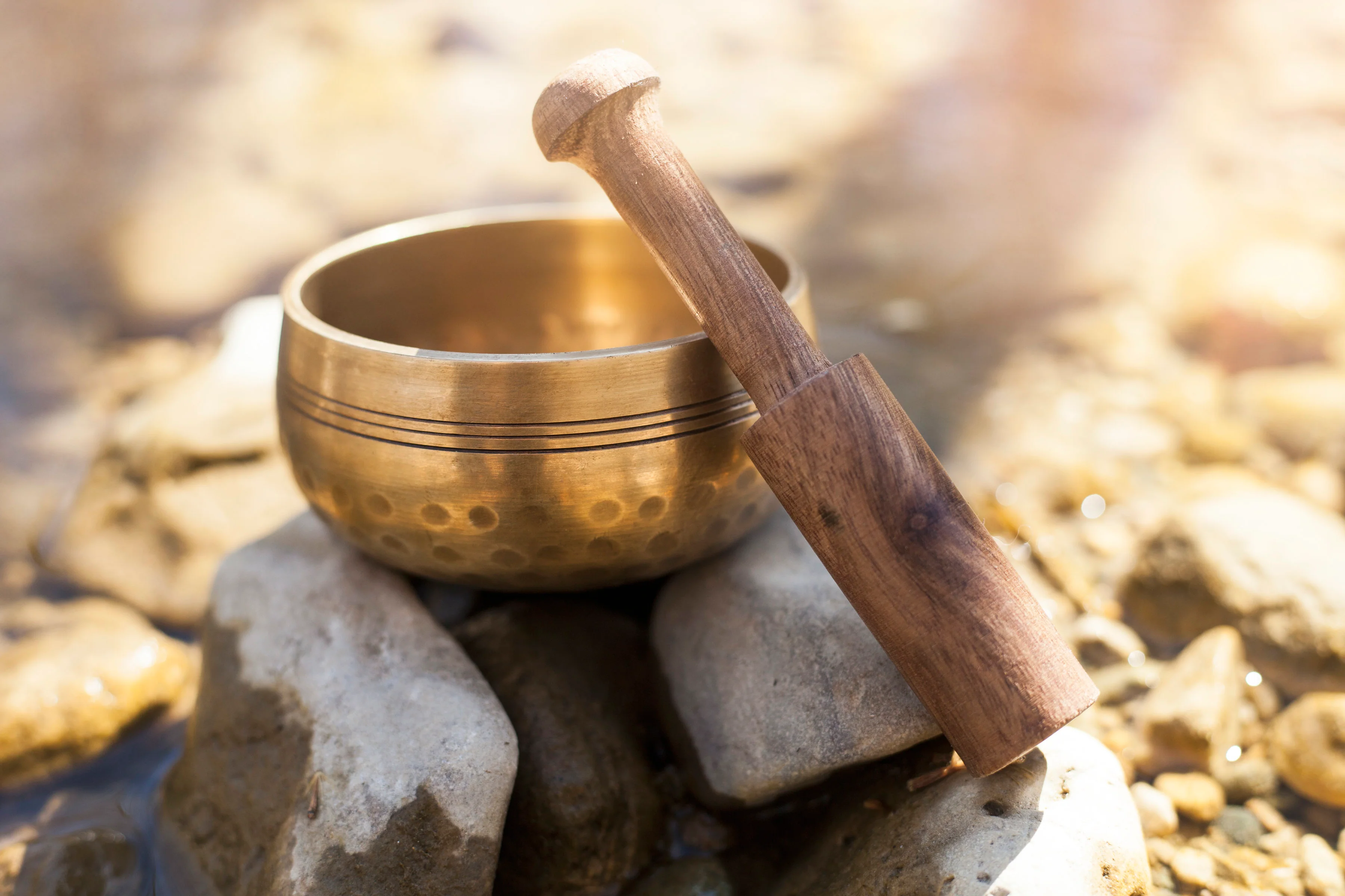 The Original Ohm - Wholesale Set of 15 - Image 5