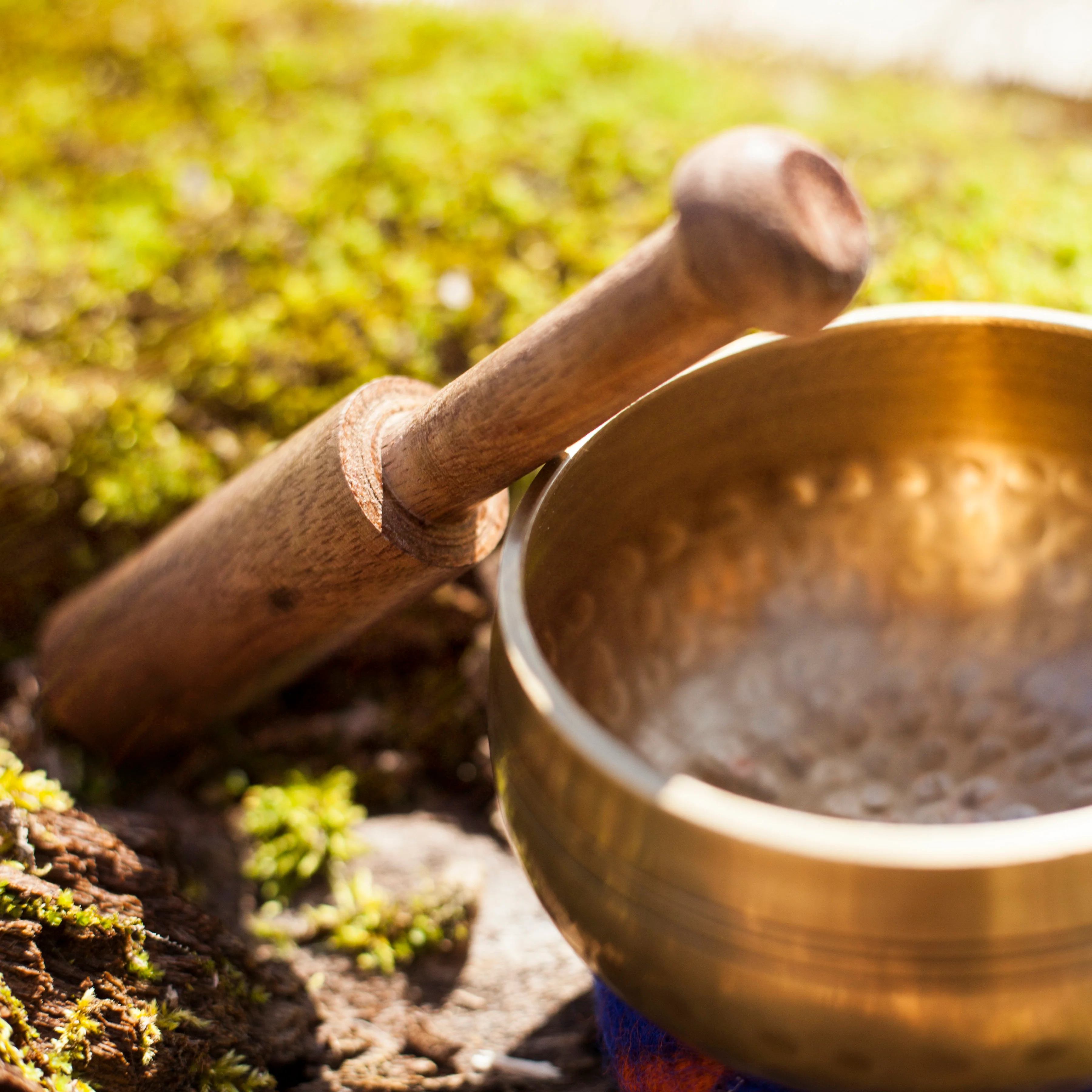 The Original Ohm - Wholesale Set of 15 - Image 9