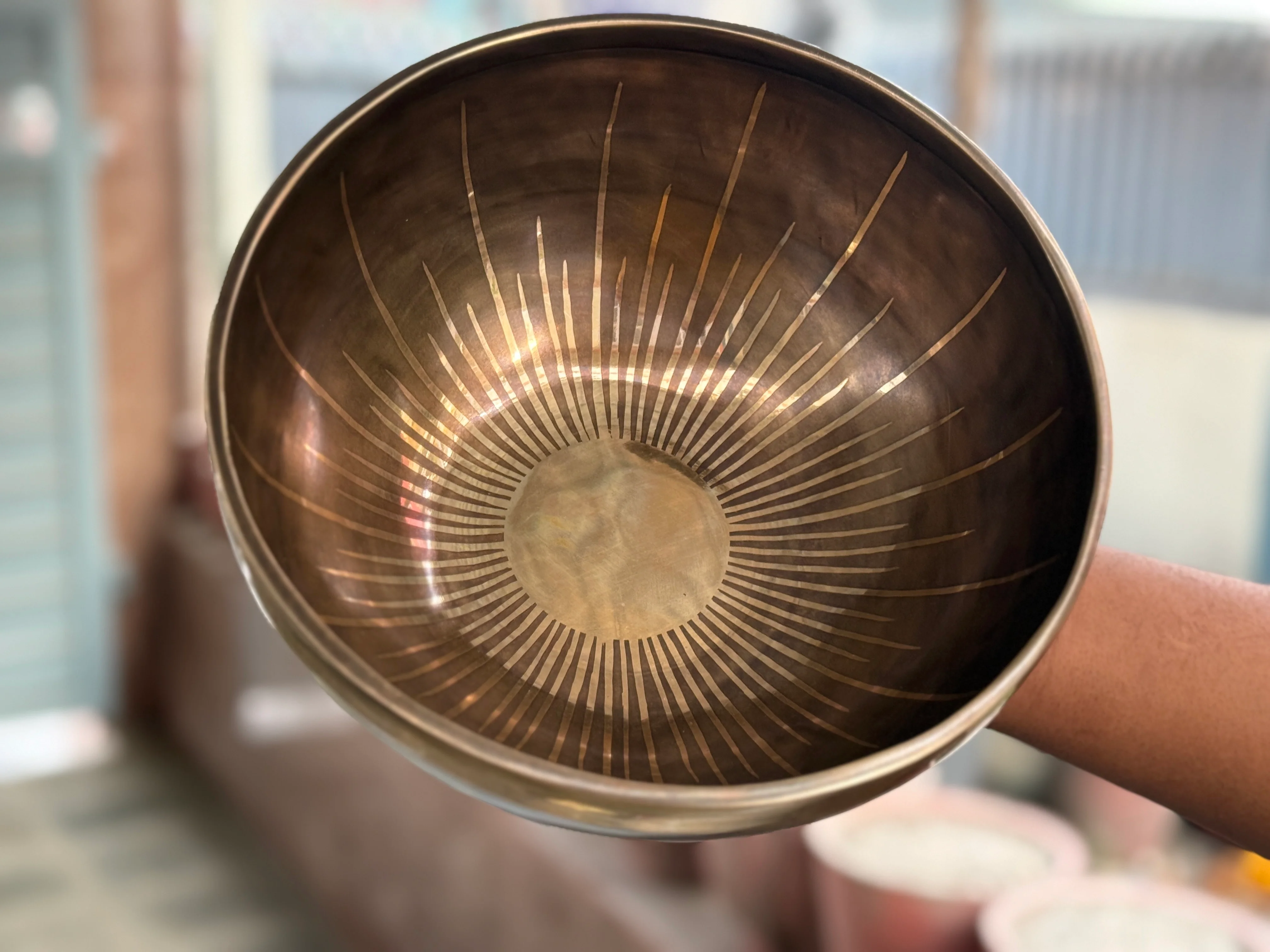 New Arrivals - Home 2023